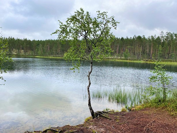 Pitkäjärvi lake in Rokua
