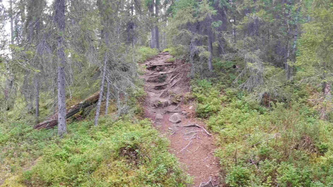 The path to Pähkänänkallio is, at times, very steep and challenging.