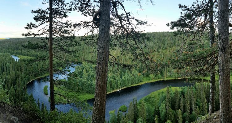 Incredible views over Oulanka National park and Pähkänänkallio