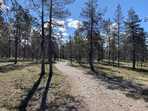 Saivonkierros nature trail