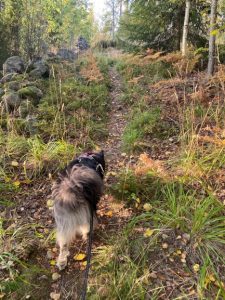 Bergvik nature trail beginning