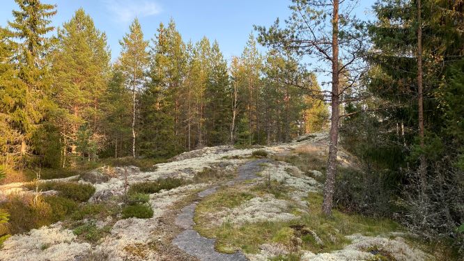 Bergvik nature trail