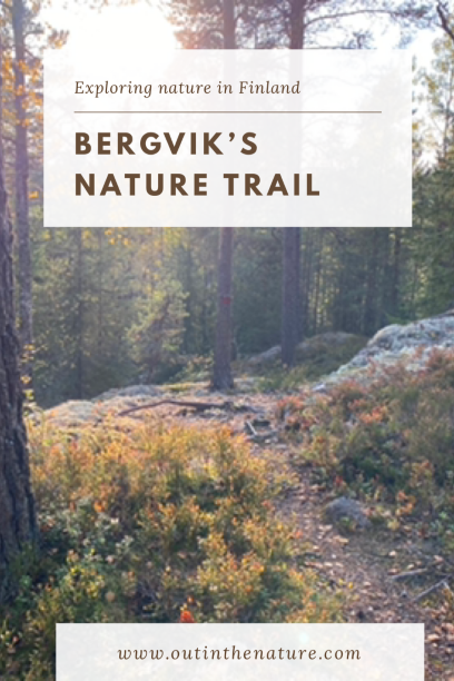 Bergviks nature trail Pinterest