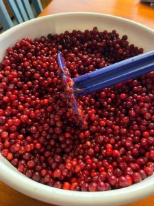 Lingonberry bucket