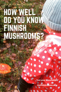 Nature quiz mushrooms Pinterest