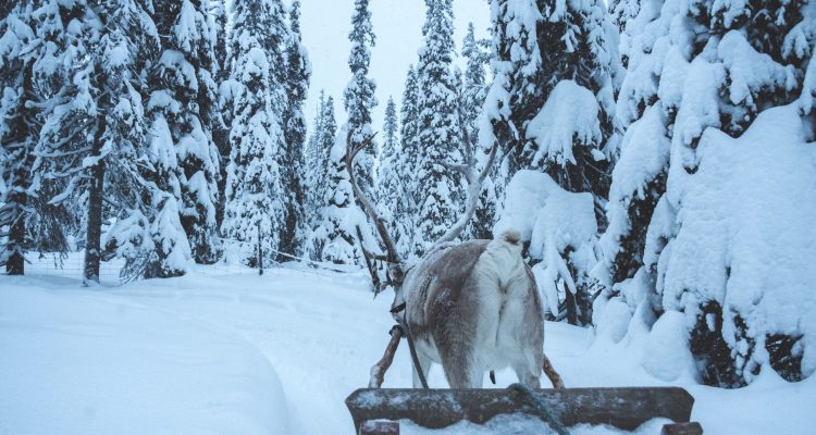 Christmas in Finland