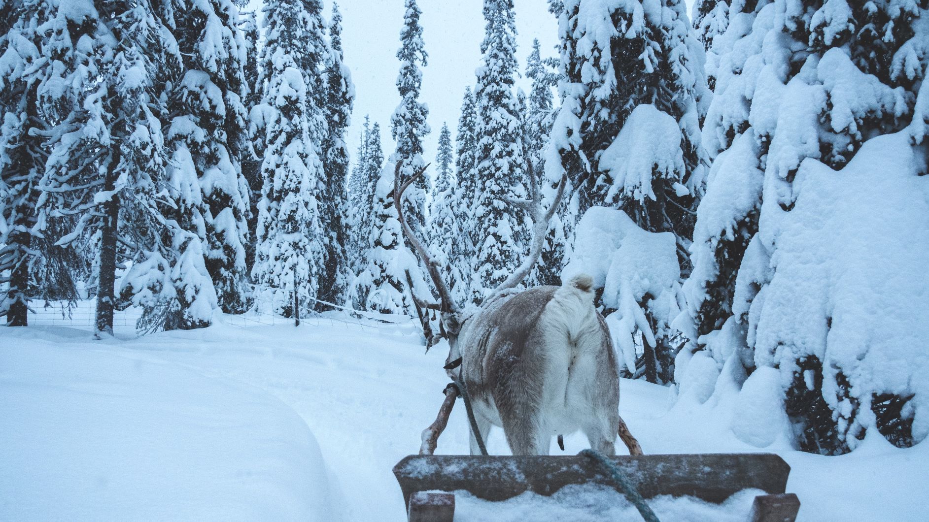 Christmas in Finland