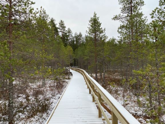 Harjujärvi accessible trail