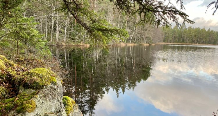 Kivisammaljärvi on Hämeen Ilvesreitti