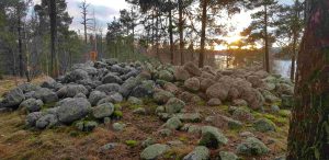 Lehtisaaren hiidenkiuas, röykkiöhauta, Lehtisaari heap tomb, burial mound