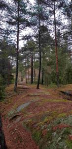 Cliffs leading to Lehtisaari heap tomb. Lehtisaaren hiidenkiukaalle tai röykkiöhaudalle johtava kallioreitti.