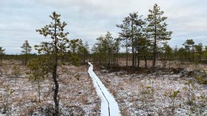 Leivonmäki National Park