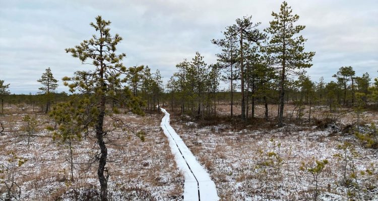 Leivonmäki National Park