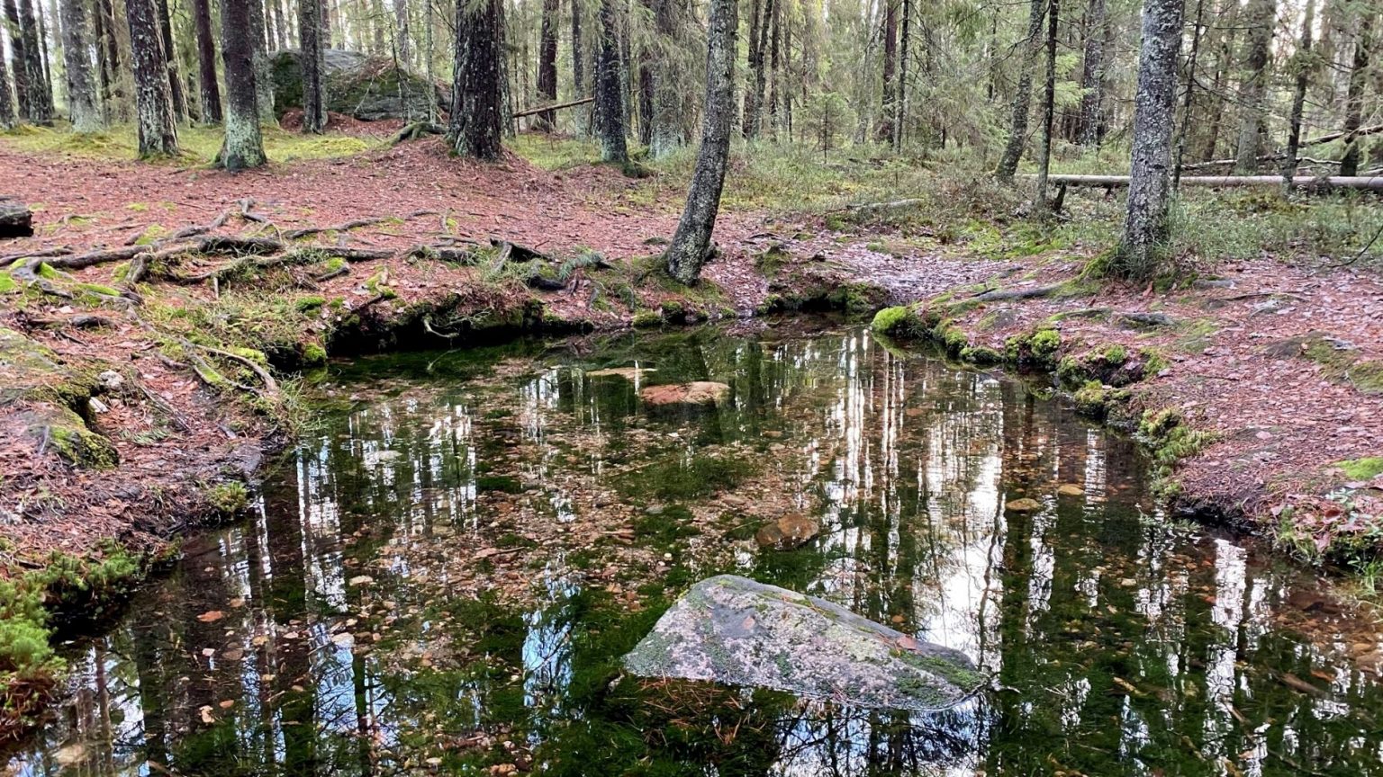 Lovely coffee break at Rokua National Park