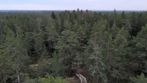 Kullaanvuori view