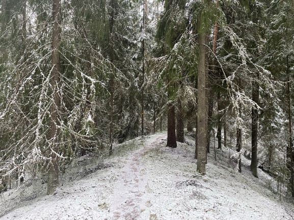 Lynx trail at Kettumäki