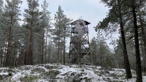 Korkeusvuori observation tower