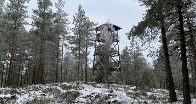 Korkeusvuori observation tower