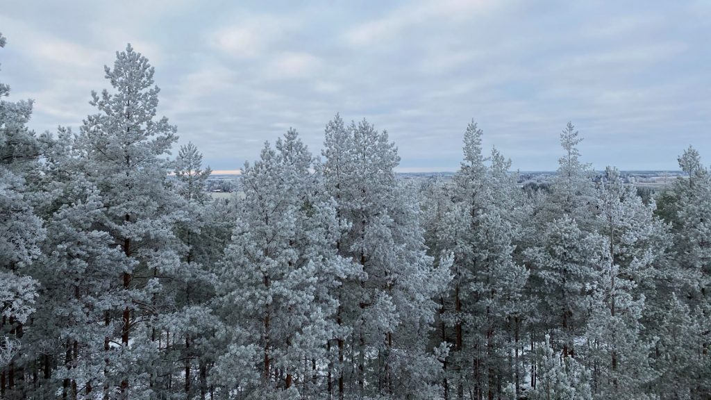 View from Korkeusvuori observation tower