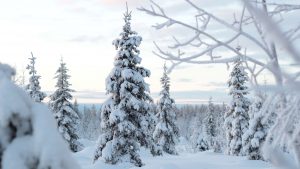 How to ground yourself in winter in Finland