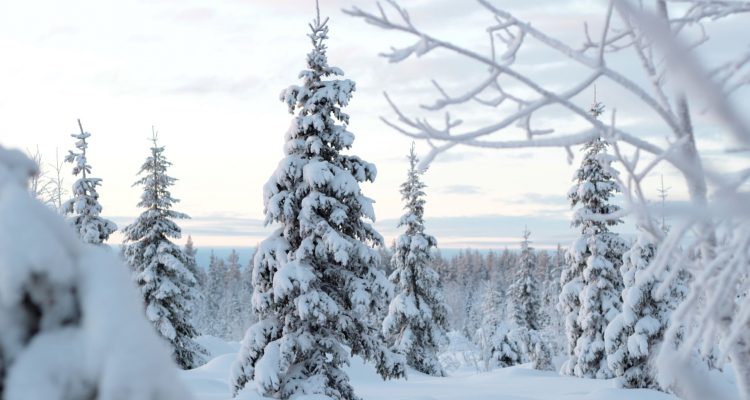 How to ground yourself in winter in Finland