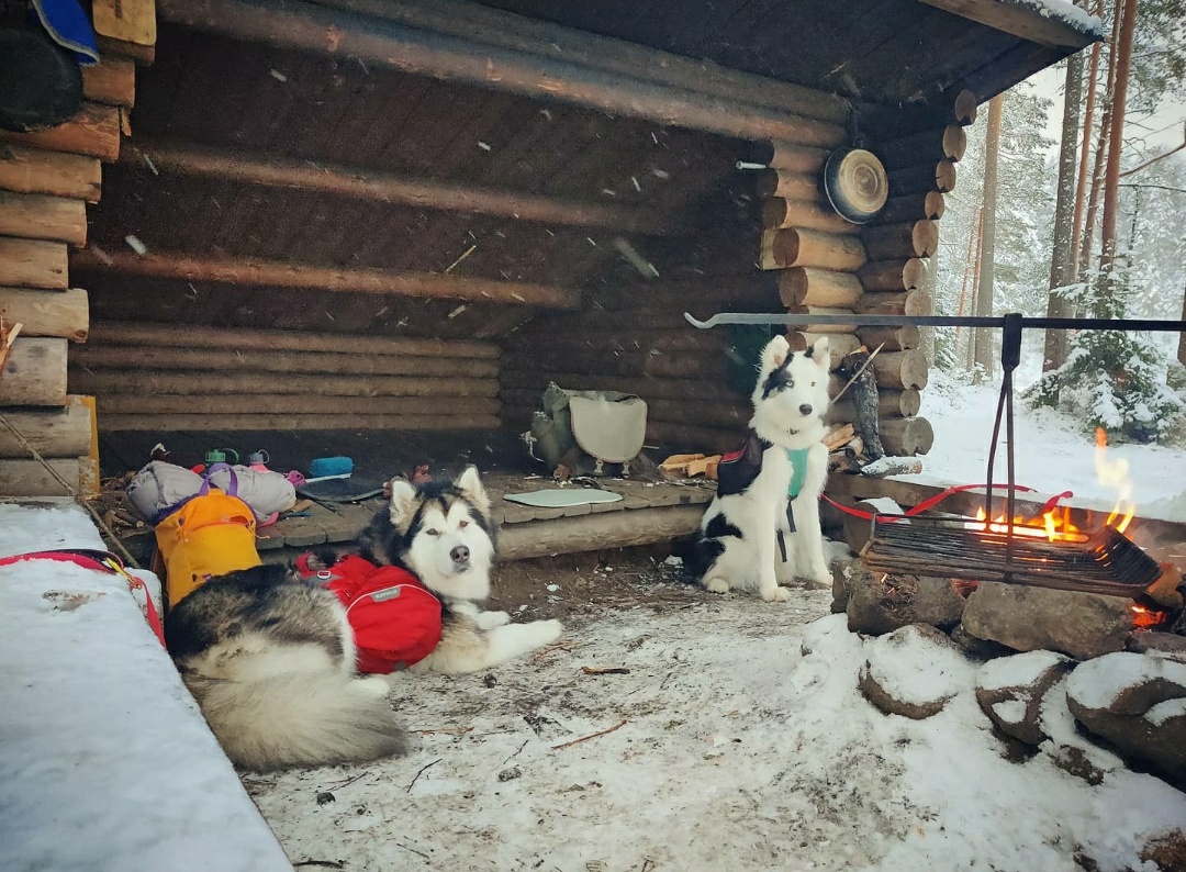 Lean-to shelter