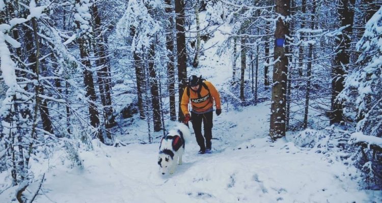 Overnight visit to Isojärvi National Park in winter