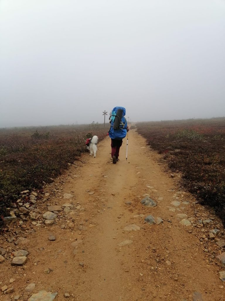 Trekking at Urho Kekkonen National Park