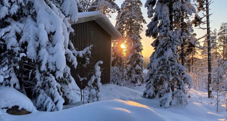 Finnish cottage life