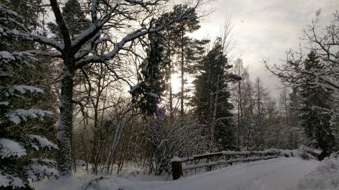 Winter in Finland