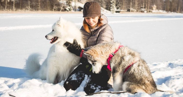 Hiking with a dog