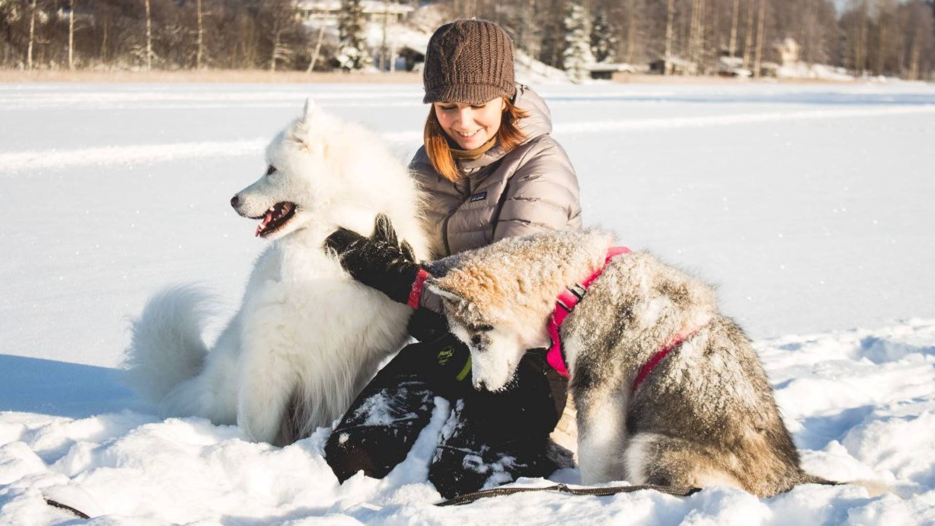 Hiking with a dog