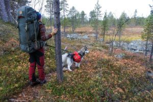 Hiking with a dog