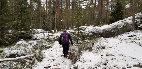 Sorlammi giant's kettles in Nuuksio. Sorlammen hiidenkirnut Nuuksio. 