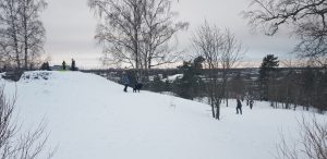 Taivaskallio views over Helsinki at Käpylä