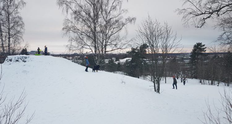 Taivaskallio views over Helsinki at Käpylä