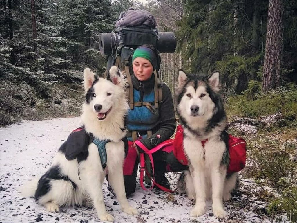 Trekking with dogs