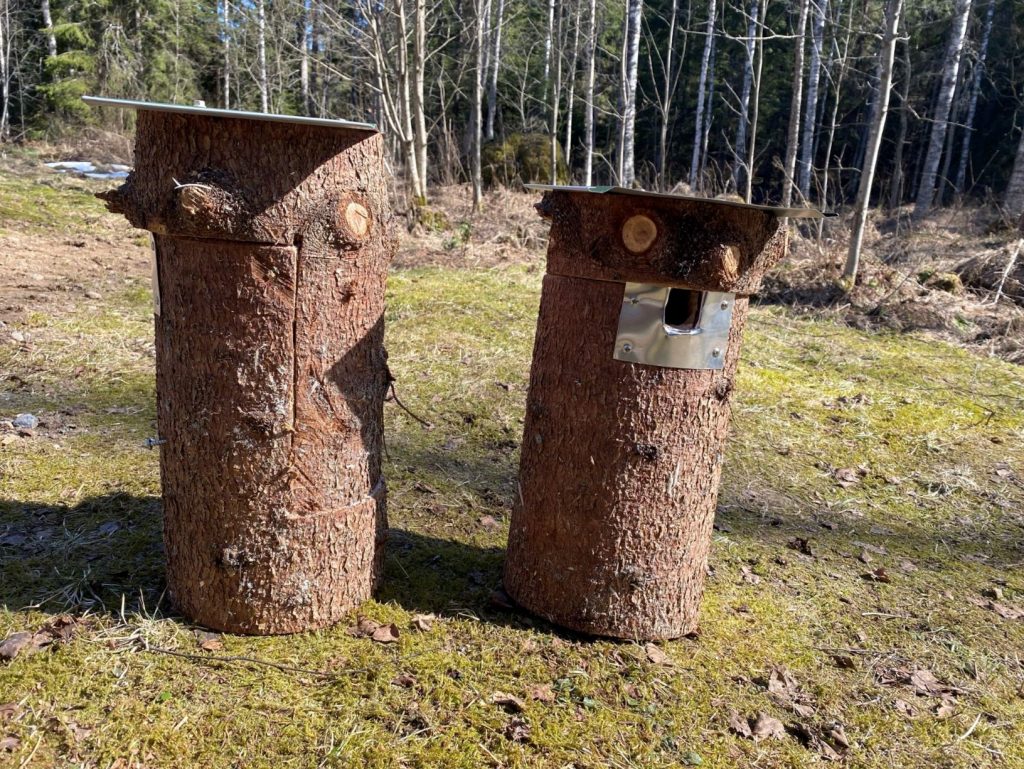 A DIY birdhouse from a log