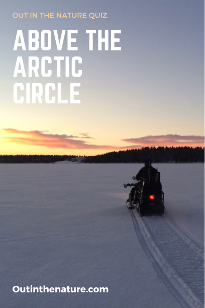 Above the Arctic Circle