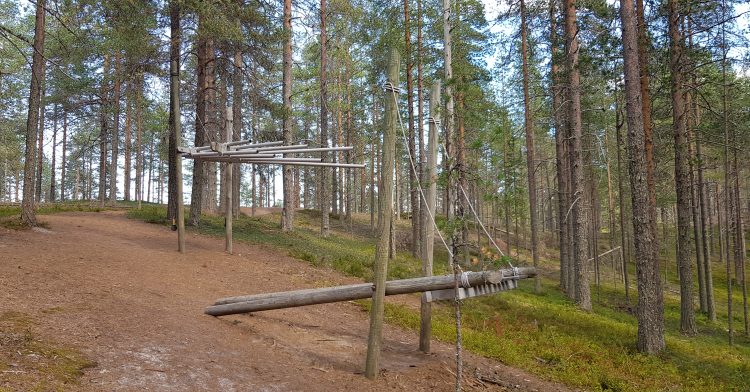 Musical Forest Soiva Metsä Suomussalmi