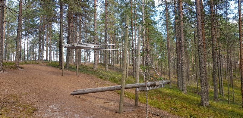 Musical Forest Soiva Metsä Suomussalmi