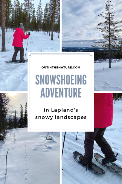 Pin it for later - Snowshoeing in Lapland