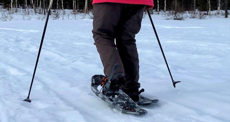 Snowshoeing in Lapland