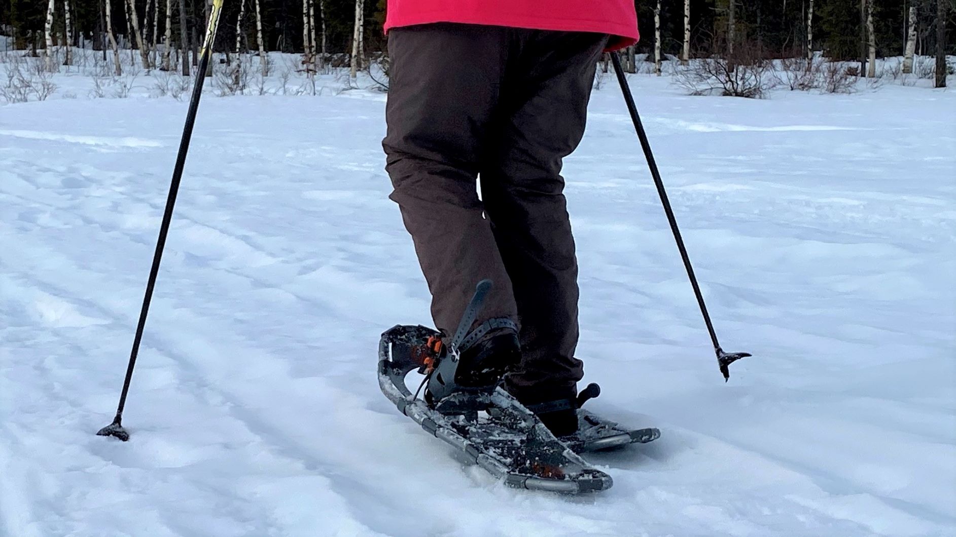 Snowshoeing in Lapland