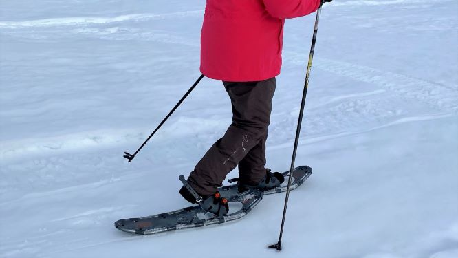 Snowshoeing