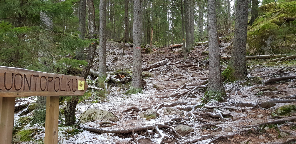 Sorlammen luontopolku Sorlampi nature trail Nuuksio