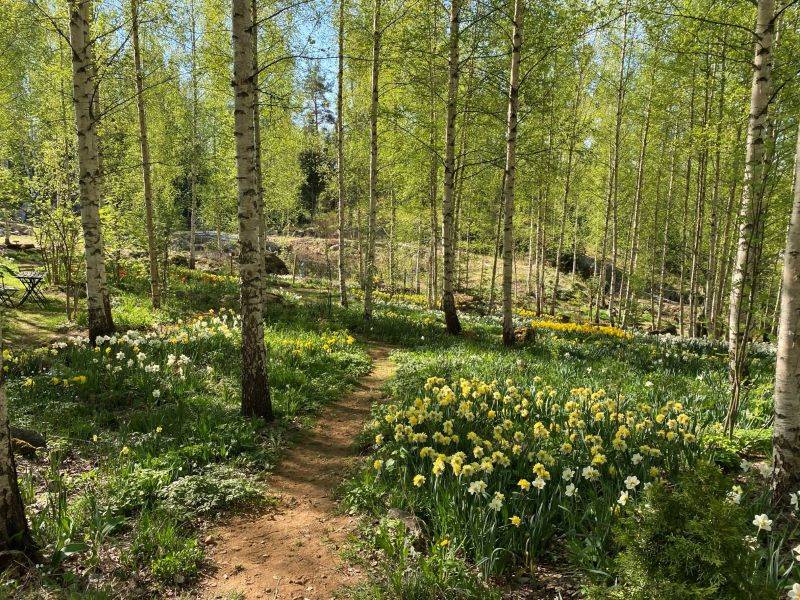 Pölkinvuori flower garden