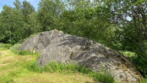 Cup-marked stones of Letku in Tammela