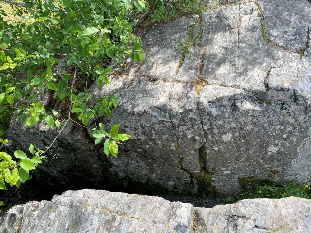 Cup-marked stones of Letku