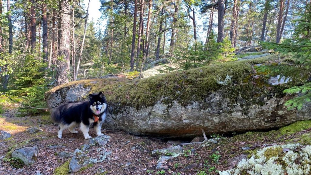 Giants grave in Tammela, one of the strangest nature sights in Finland